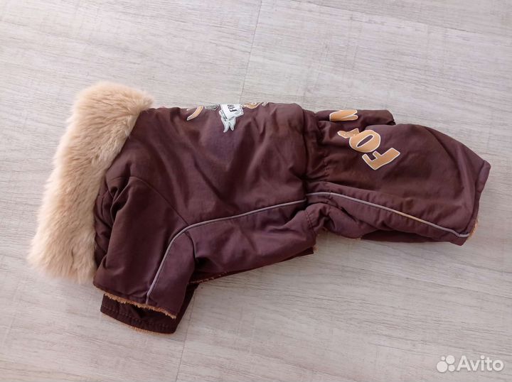 Одежда для собак