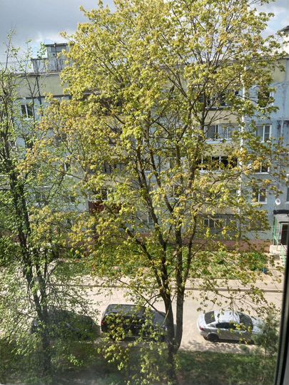 2-к. квартира, 48 м², 5/5 эт.