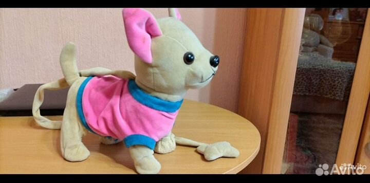 Умная собачка