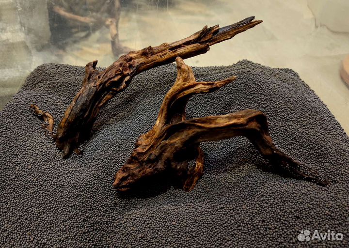 Грунт пропант, сухая азалия, коралловое дерево