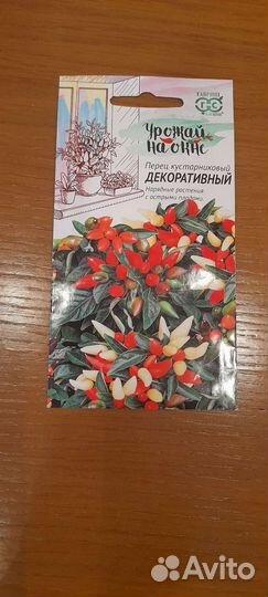 Перец комнатный острый