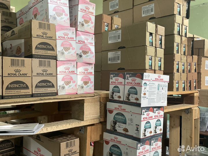Паучи для кошек Royal Canin санкционные