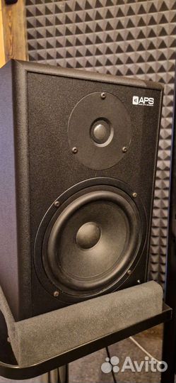 Студийные мониторы aps klassik