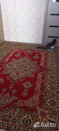 Ковер бу шерстяной