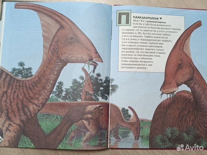 Книга Динозавры