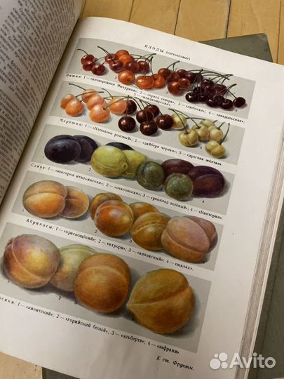 Краткая энциклопедия домашнего хозяйства 2 тома