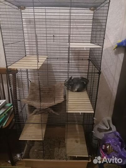 Большая клетка для шиншиллы