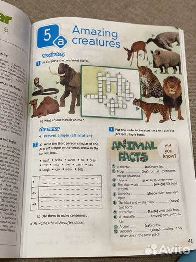 Spotlight 5 класс workbook