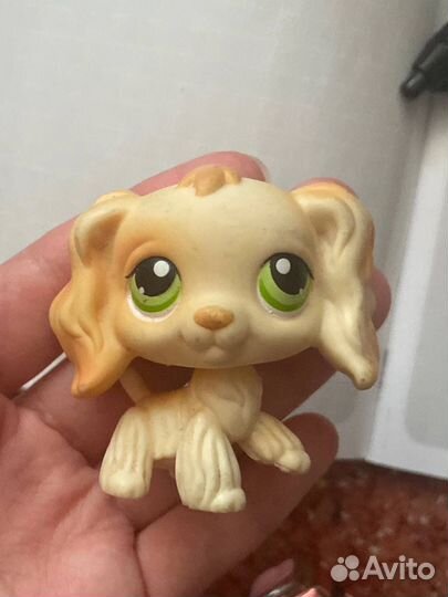 Лпс дл екатерина свиридова