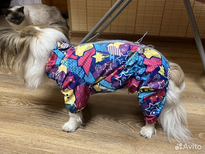 Одежда для собак
