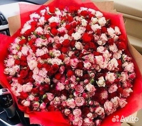 101 роза цветы букеты доставка 25 51 101 роза