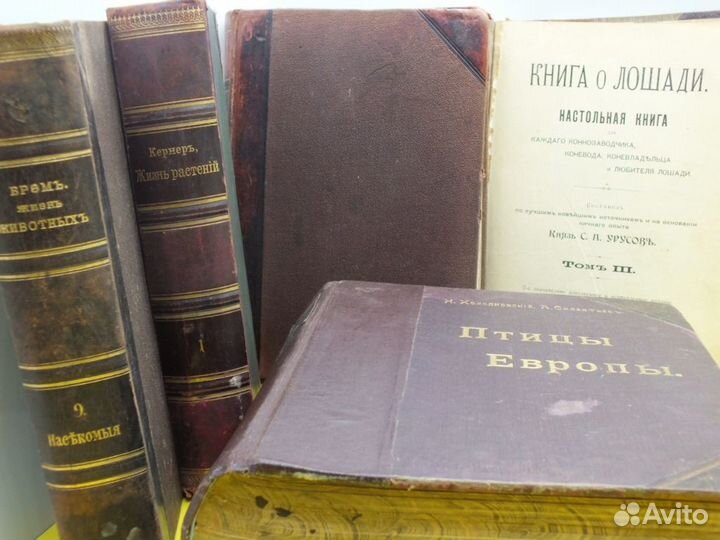 Книги Мир Природы