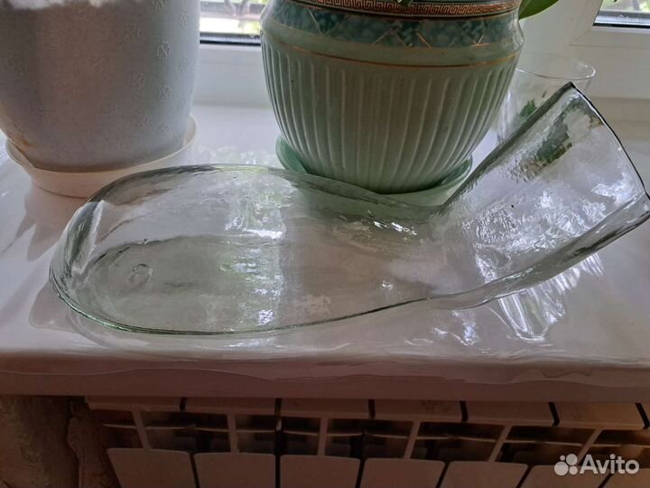 Утка медицинская