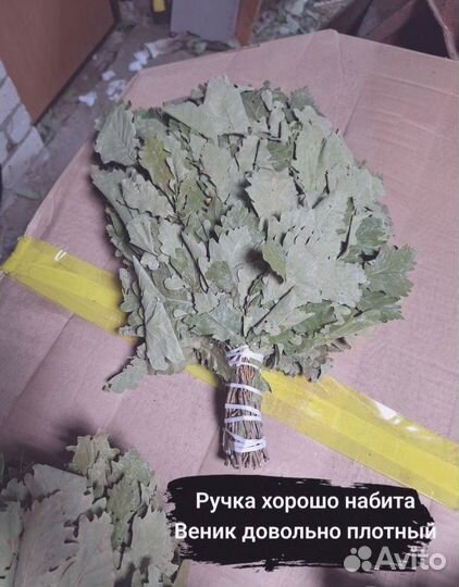 Веник для парения в бане