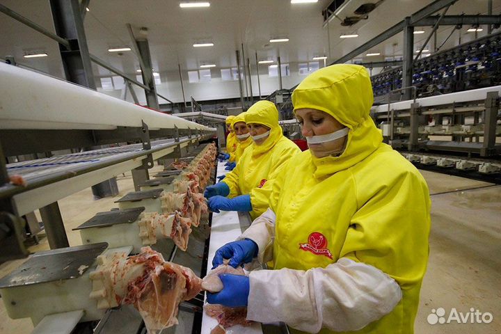 Разнорабочие с ежедневной оплатой (Липецк)