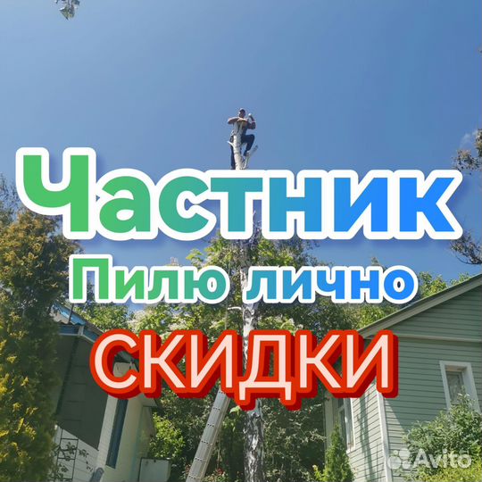 Спил деревьев