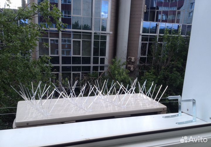 Отпугиватели. Защита от птиц