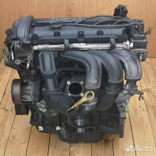 Двигатель asda Focus 2 1.4