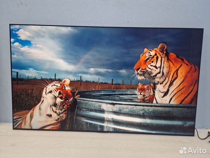 Телевизор LG oled55C3RLA