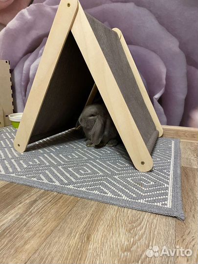 Домик для кролика/кошки