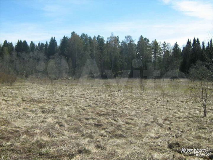 Участок 9,93 га (СНТ, ДНП)