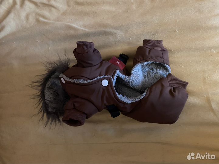 Зимний комбинезон для маленькой собачки