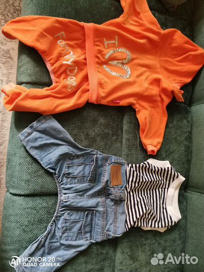 Товары для собак