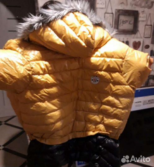 Куртка для собак средних размеров