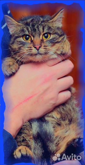 Ласковая девочка, около 7 месяцев