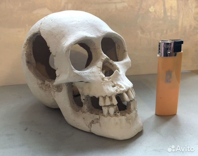 Аквариумный декор 