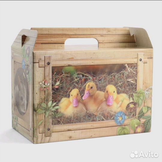 Домик-переноска для мелких домашних животных