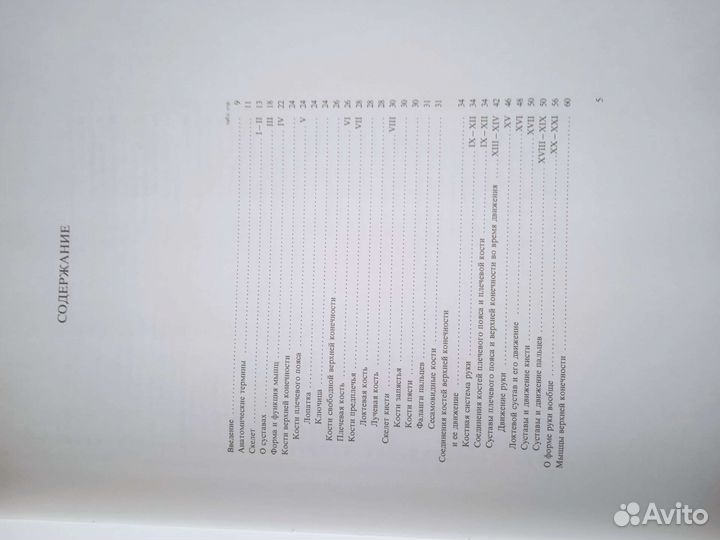 Анатомия для художников Енё Борчаи