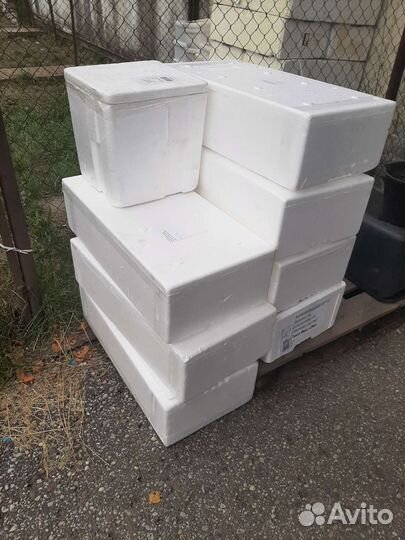 Термоконтейнер из пенопласта