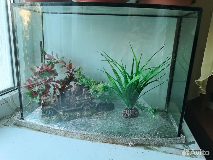 Аквариум