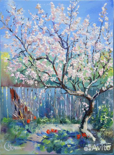 Картина маслом. Весенний абрикос