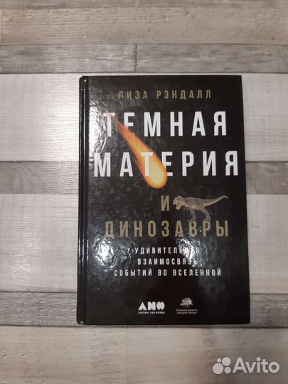 Книга Лизы Рэндалл 