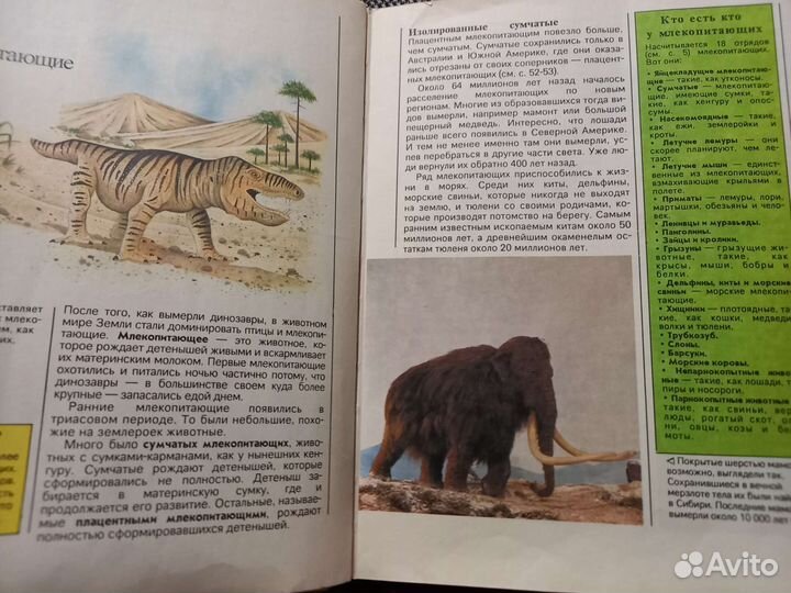 Энциклопедия