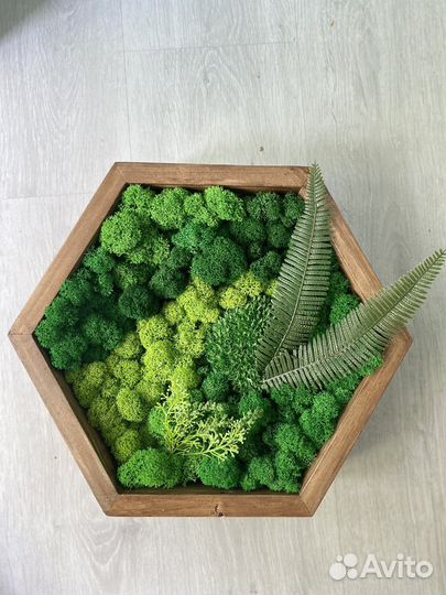 Полки соты с мхом. Озеленение интерьера