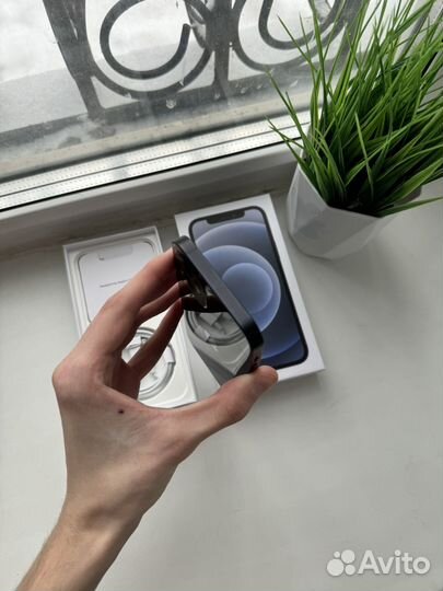 iPhone 12, 128 ГБ