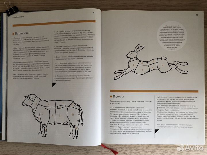 Мясомясо. Ника Белоцерковская