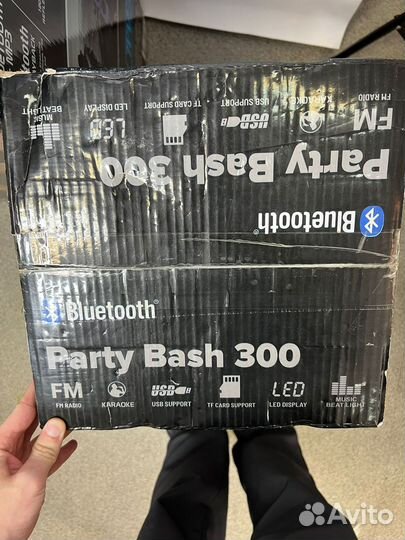 Колонка Stinson Acoustics Party Bash 1200W / 300W