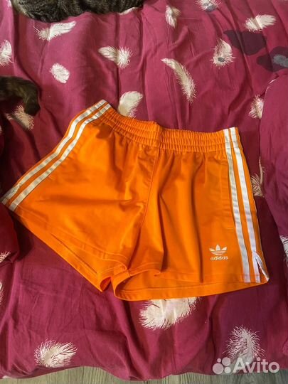 Шорты Adidas женские