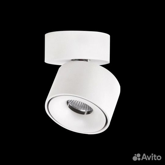 Спот Citilux CL558010N