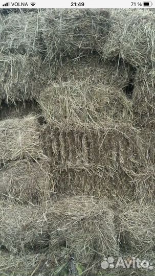Сено в тюках