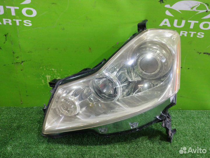 Фара nissan fuga Y50 VQ25DE 2005 Перед. Лев