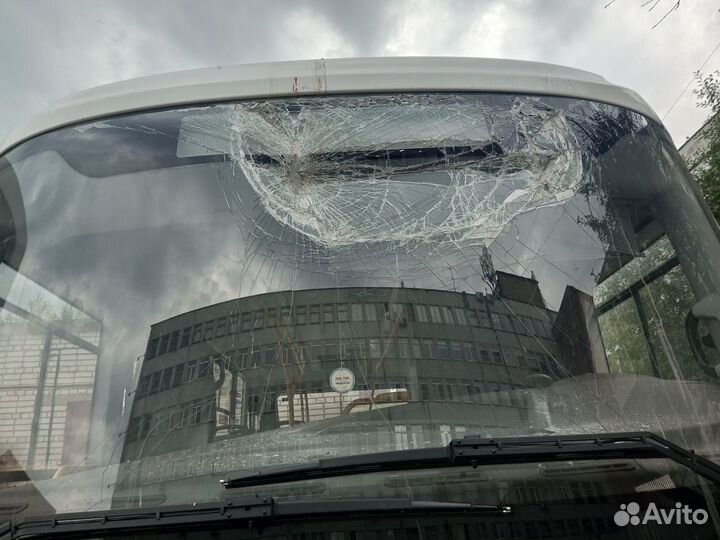 Городской автобус ПАЗ Вектор Next, 2022