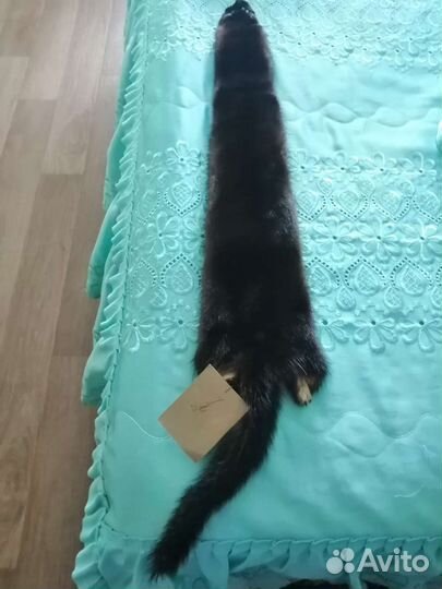 Шкурка животного