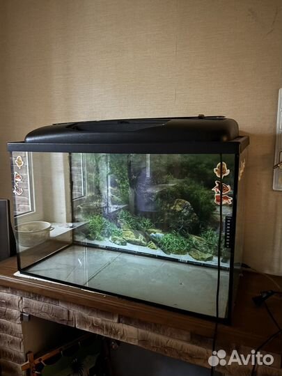 Аквариум с фильтром