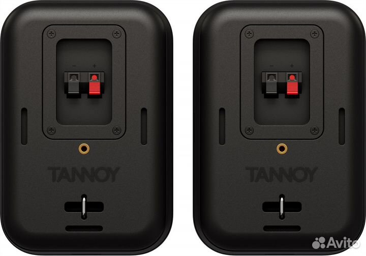 Пассивные мониторы Tannoy VMS 1