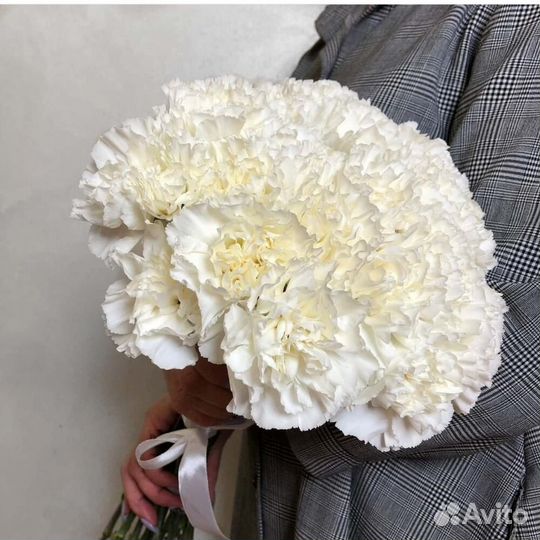 Букет из белых диантусов 75 шт